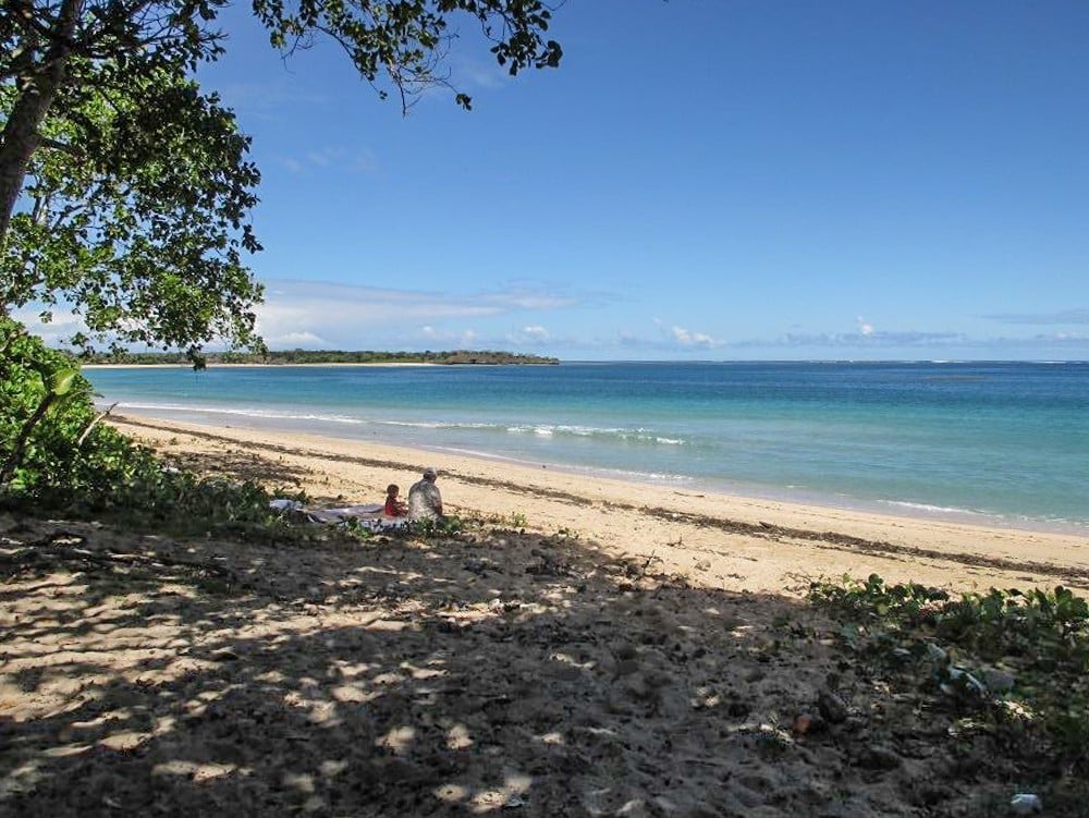 Teitei permaculture farm stay Fiji