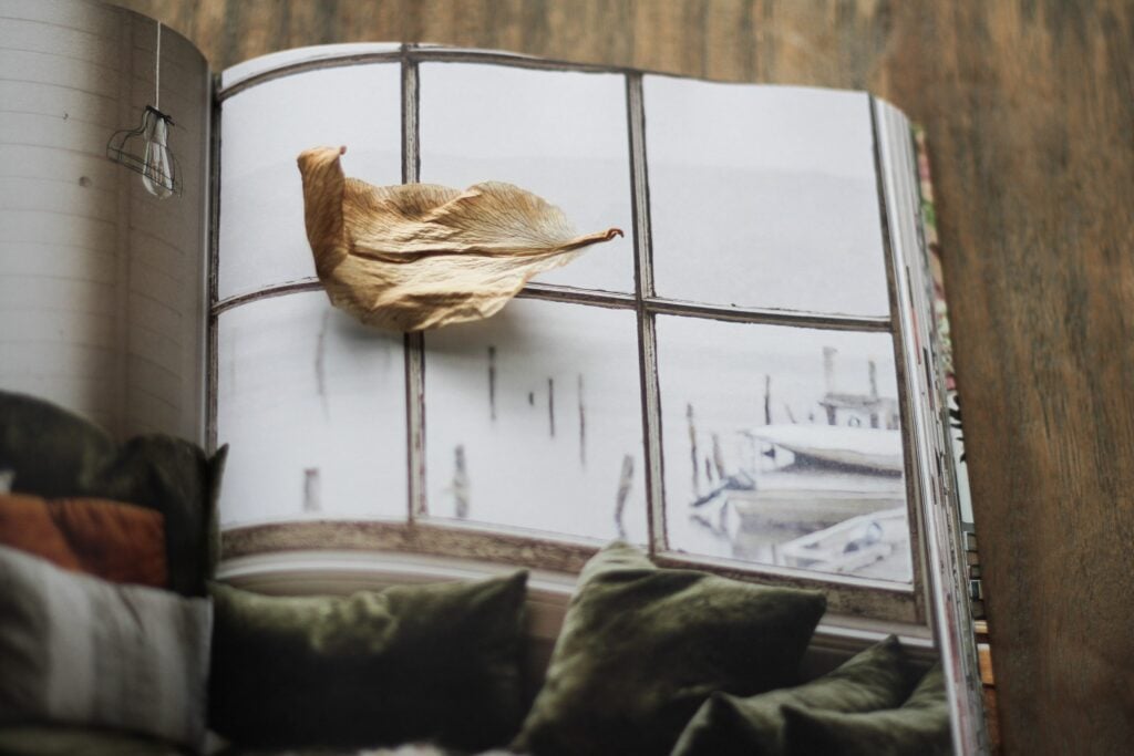Jessica Bellef Individual book review