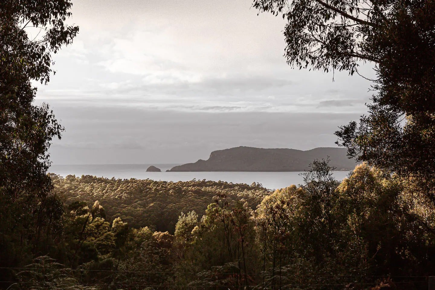 1_Birdsong_Adventure_Bay 1_Birdsong_Adventure_Bay
