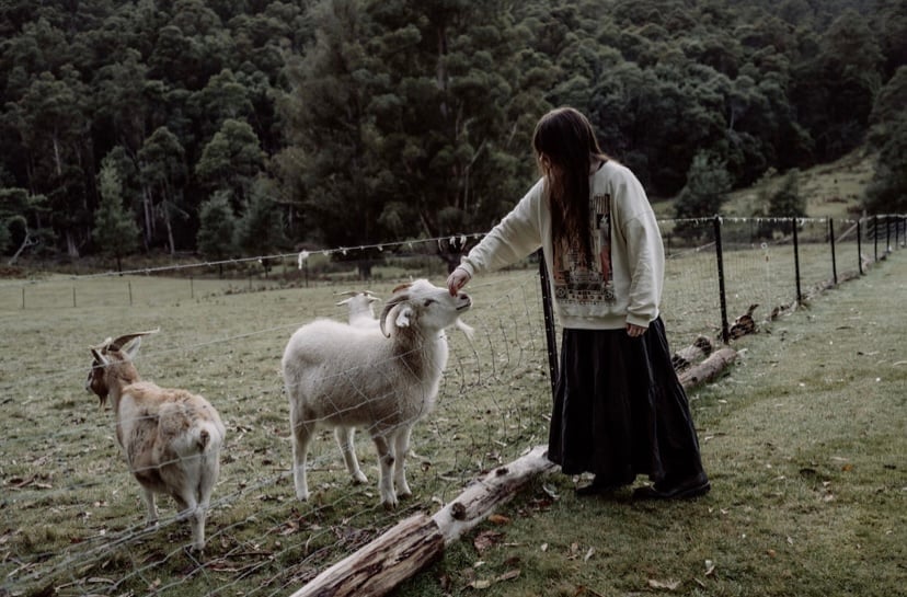 Three Paddocks and a Hill Tasmania accommodation