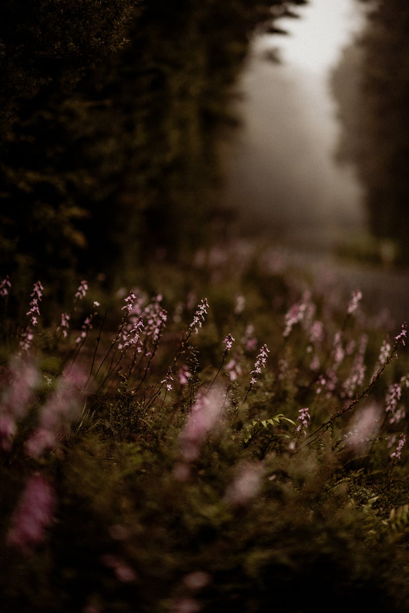 Just Down The Road157