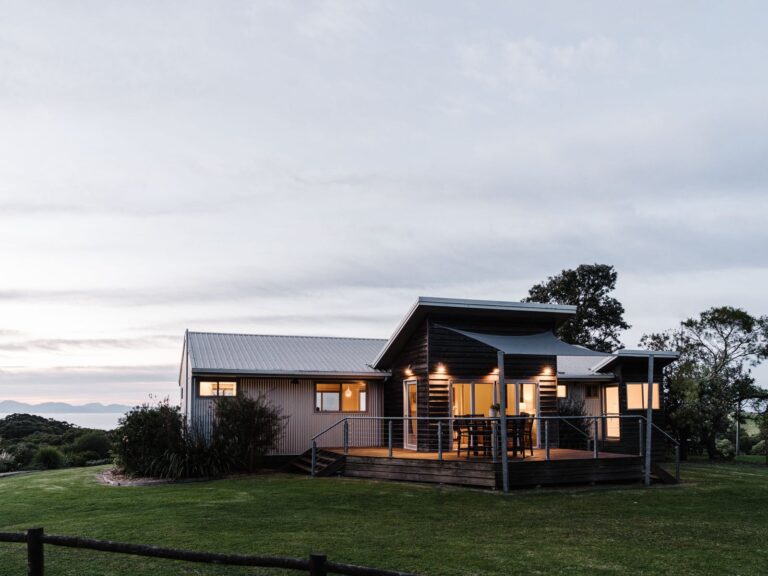 SHellback feature 768x576