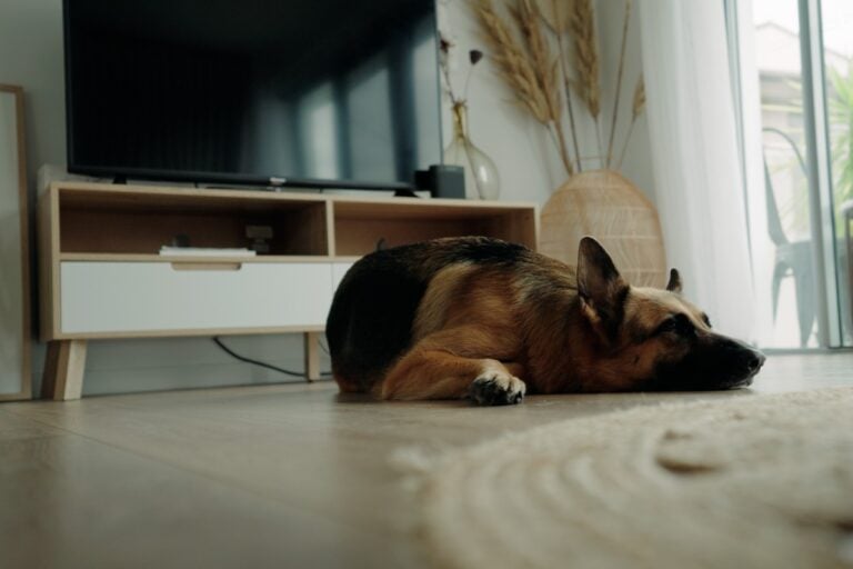 Silvermere Coastal Retreat pet friendly 768x512