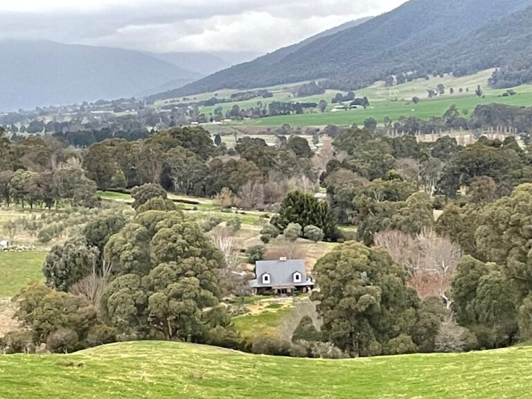 IMG 0938 Large 768x576