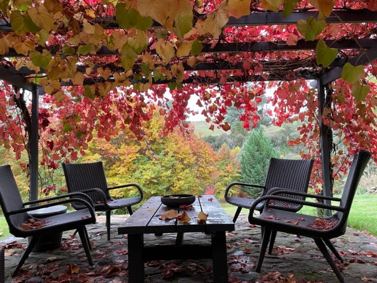 IMG 3905 Large 768x576