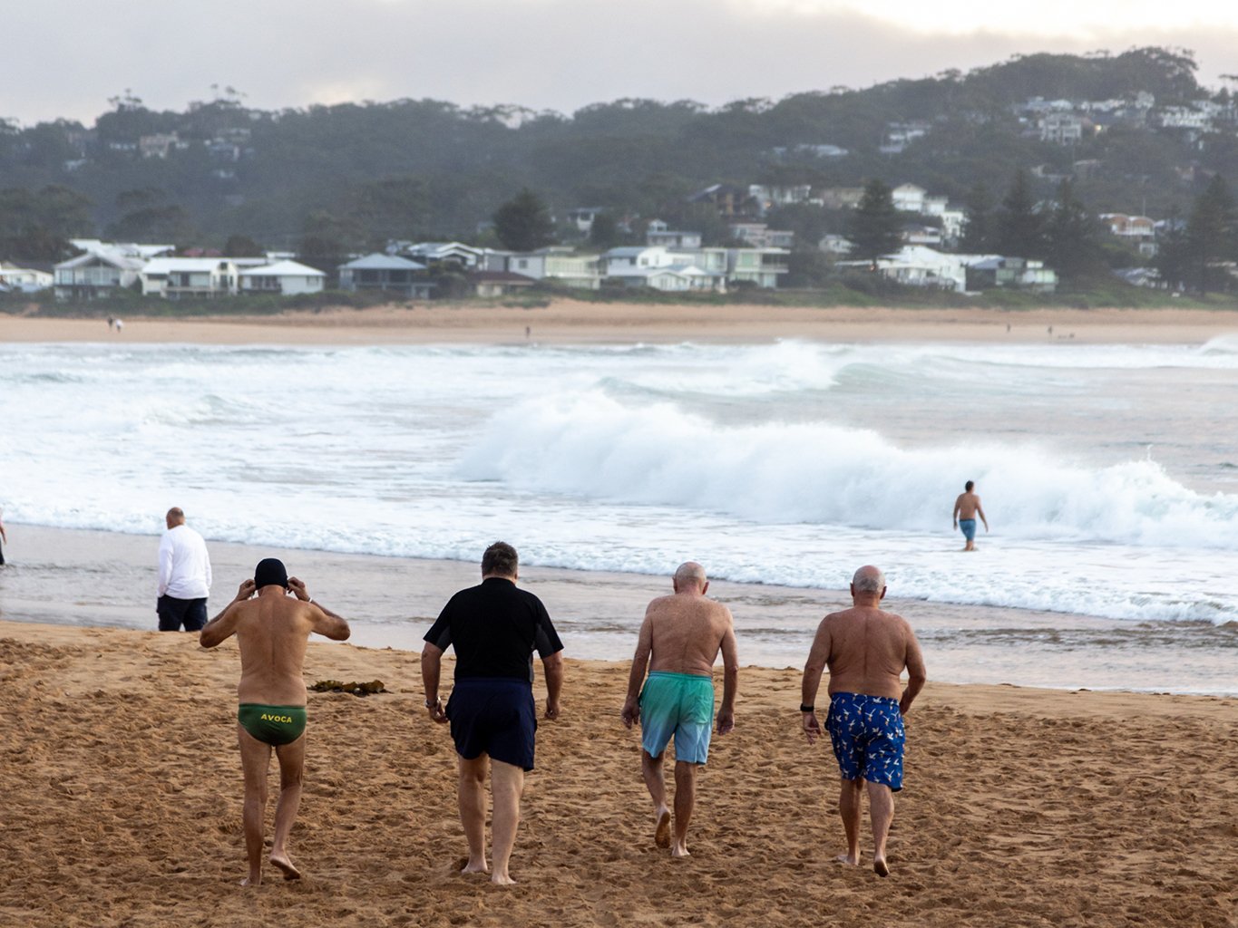 The Lizards of the Central Coast