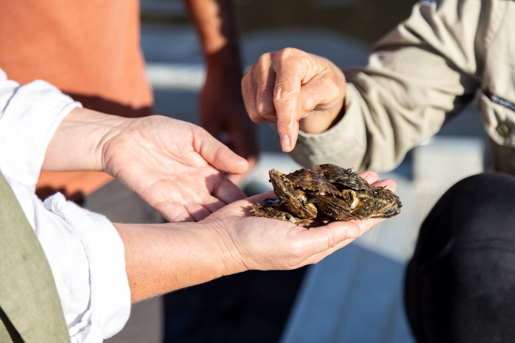 Broken Bay Pearl Farm NSW Central Coast