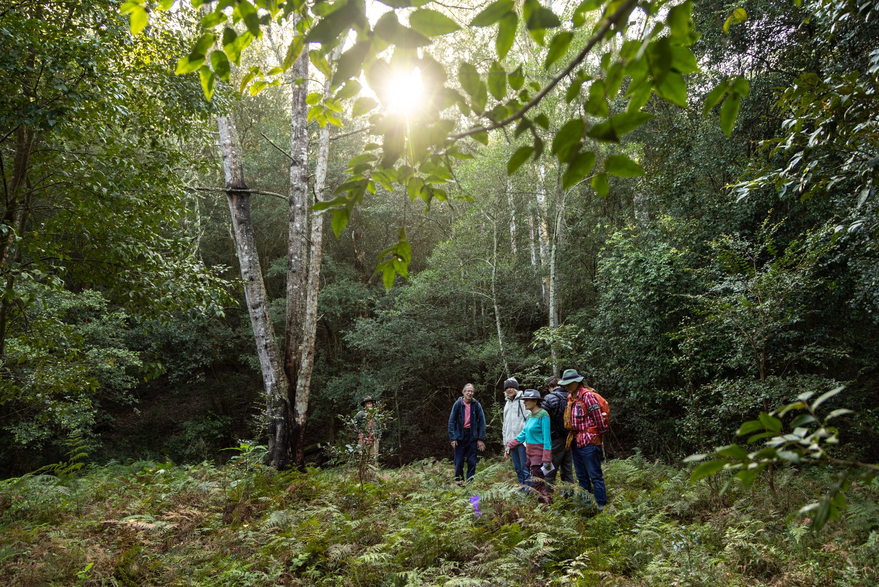 Slow and Sustainable Travel Tour