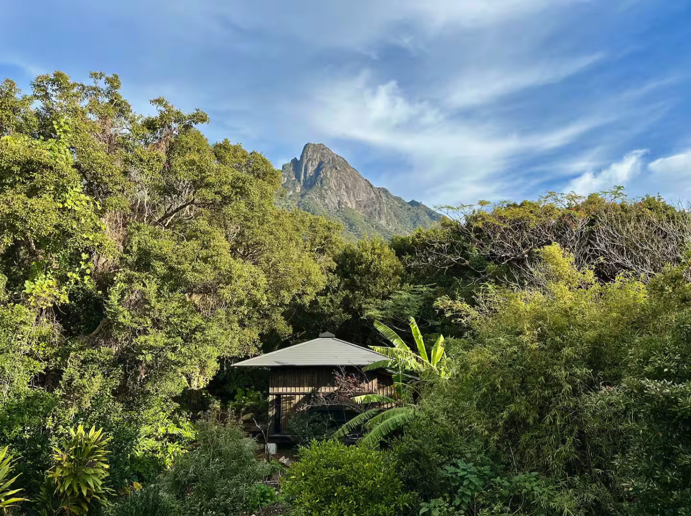 Banyan Retreat The Nest | Best places to visit in Japan to go off grid