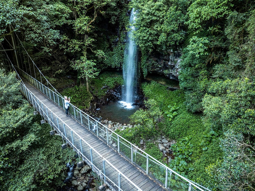 Dorrigo NSW itinerary