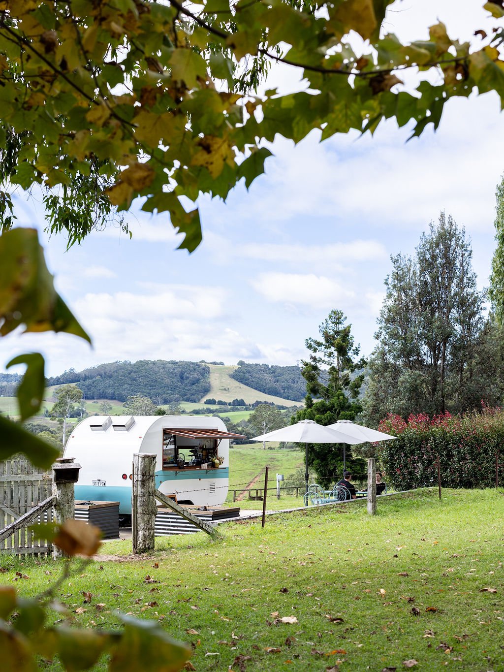 Caravan cafe near Dangar Falls Dorrigo