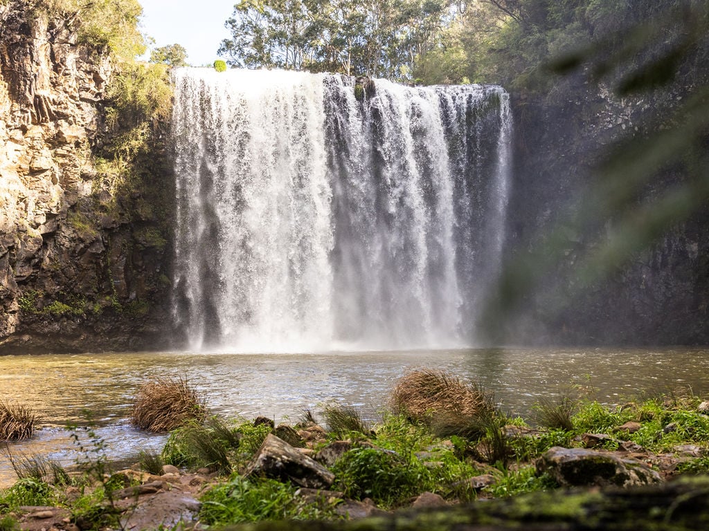 Dangar Falls Dorrigo