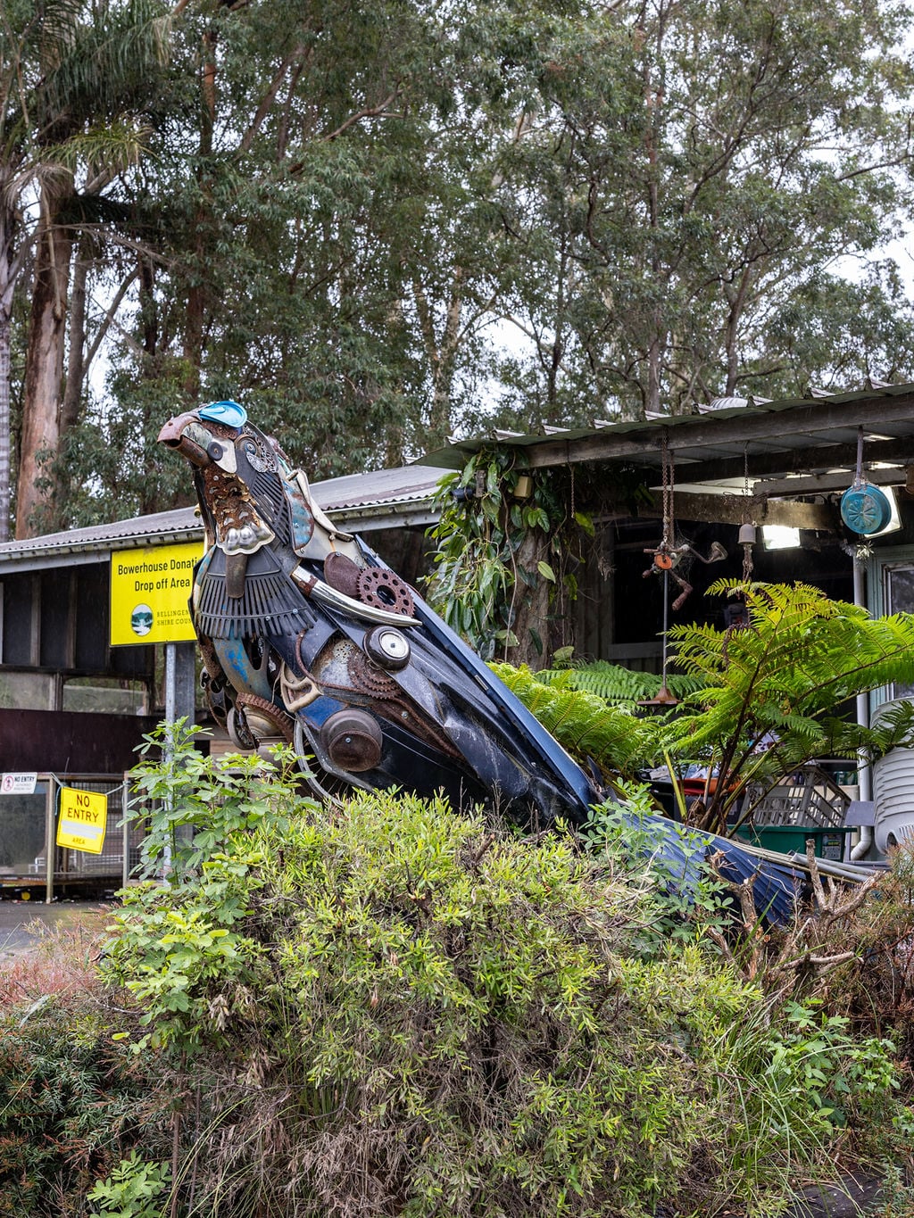 Bowerbird refuse shop Raleigh Urunga