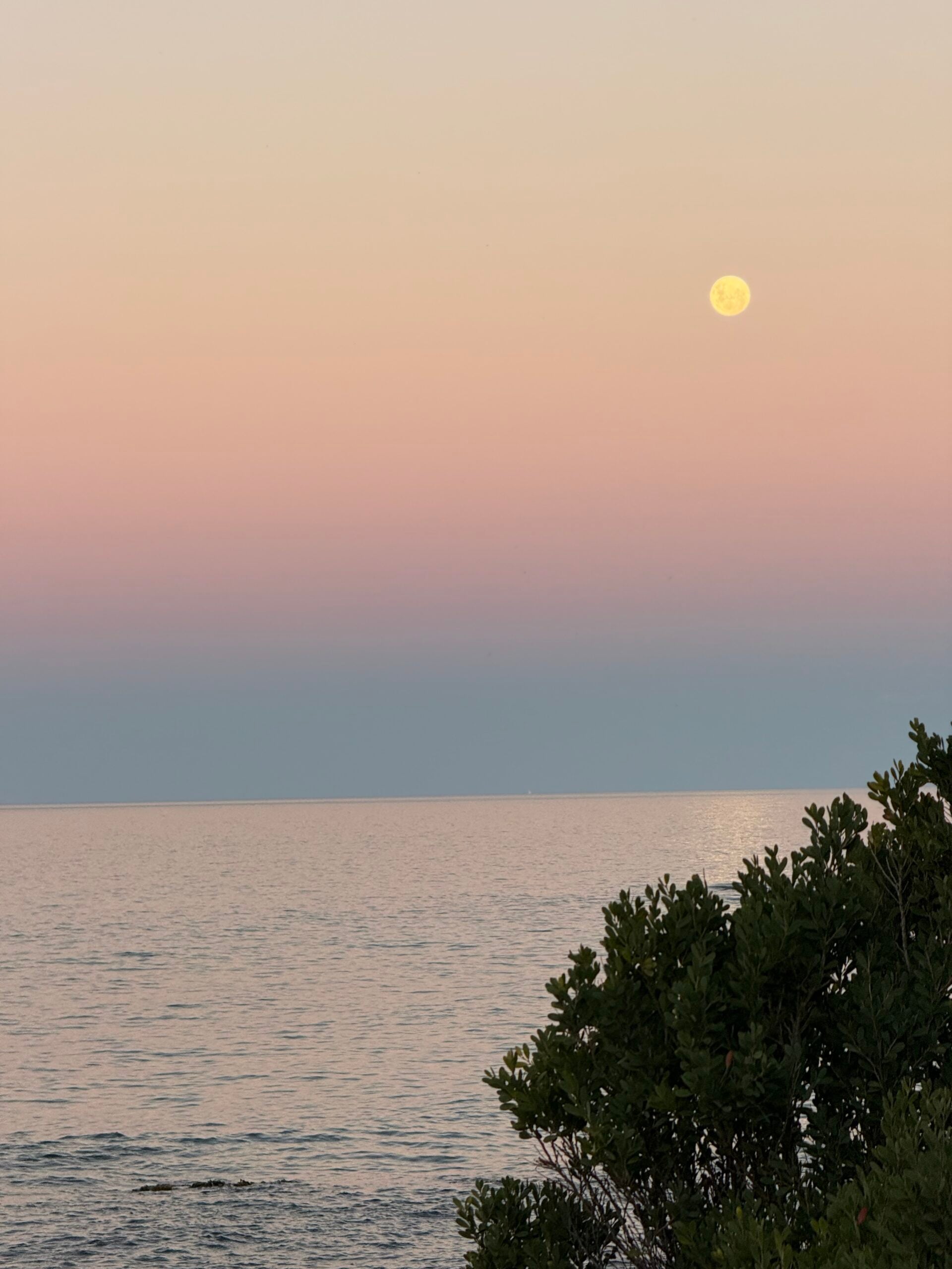 Moon rise Whale Song | East Coast Tasmania guide