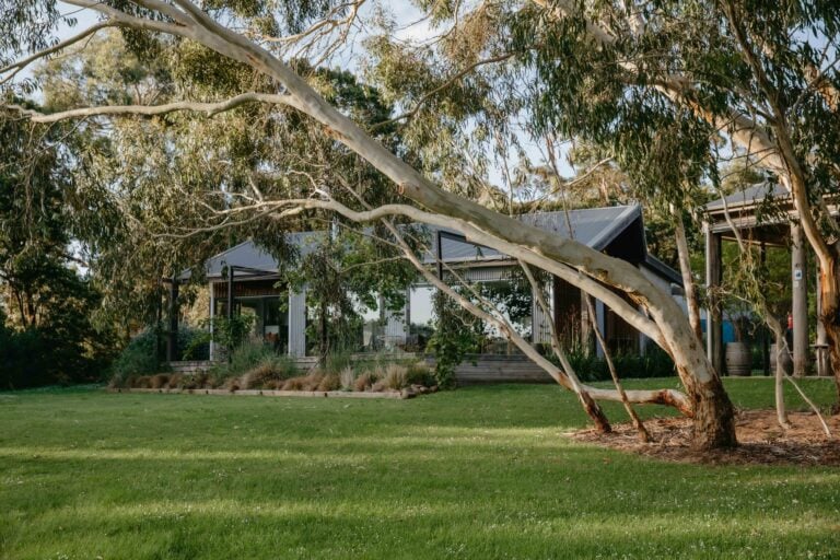 HartsFarm KateShanasy Oct2023 lores 5021 768x512