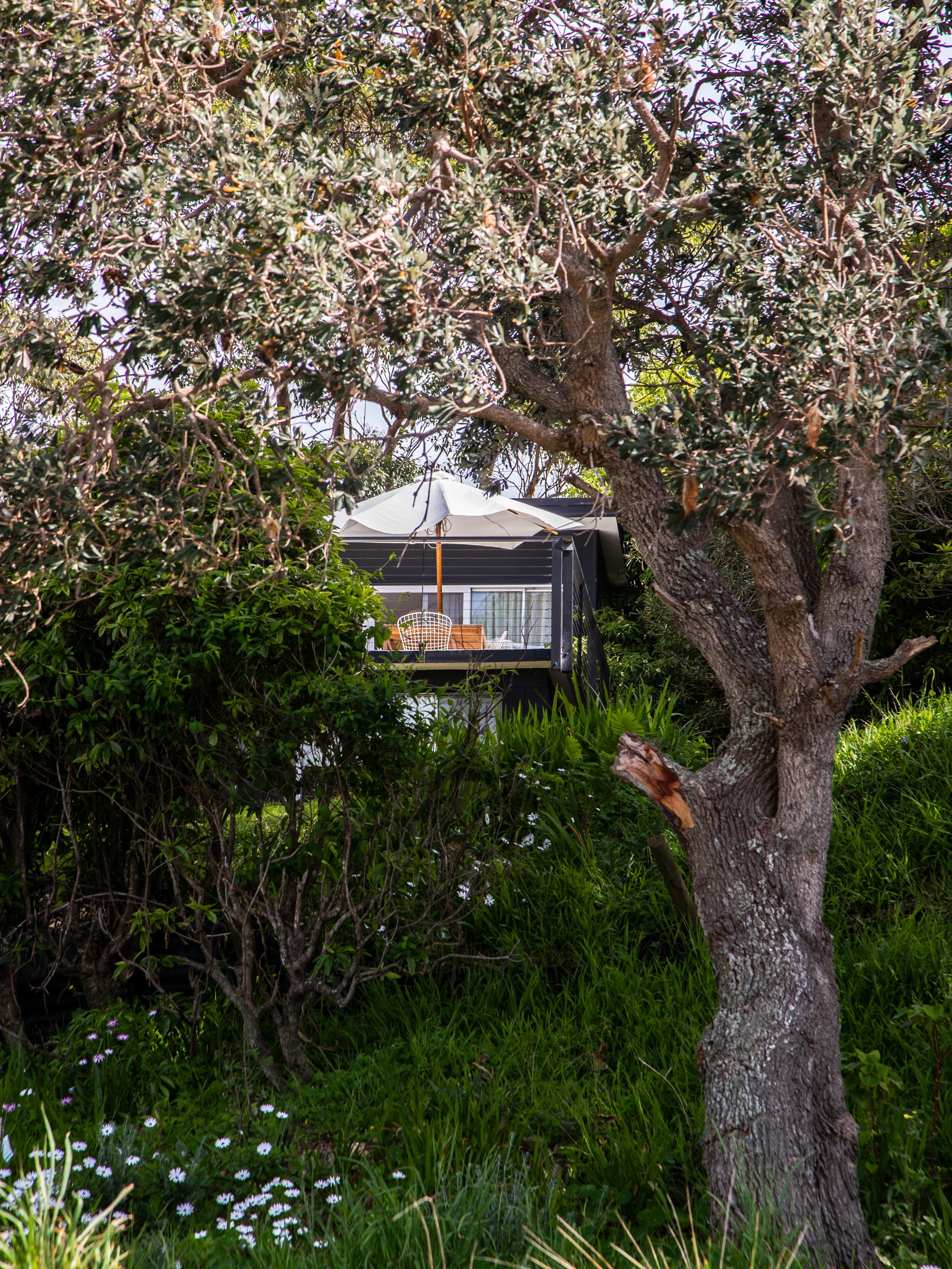 Beach Shack in the bush