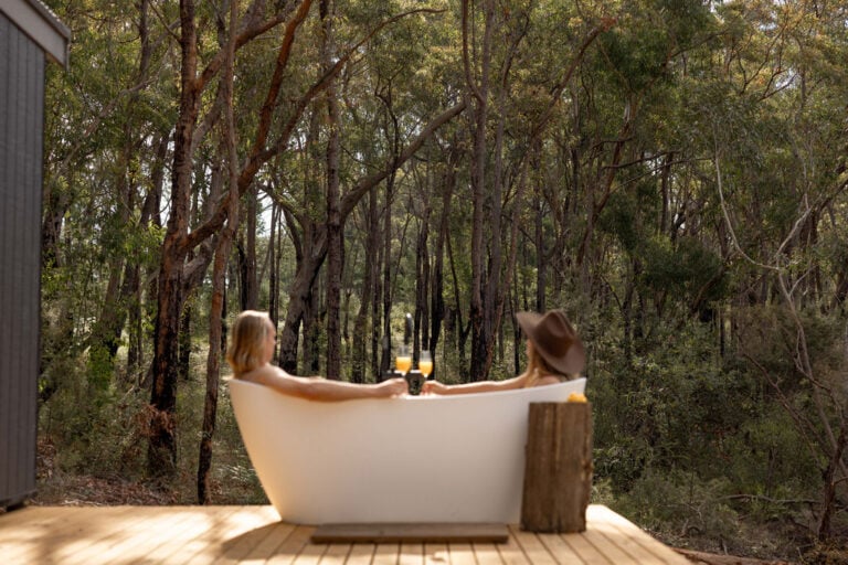 20251020  J5A4996 2 768x512