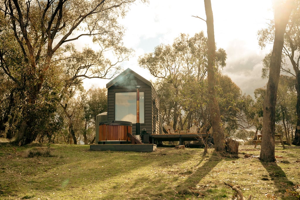 Tiny Harper2025 09 09at12.19.02pm39