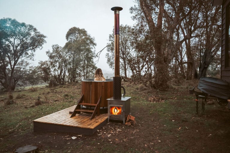 Tiny Harper2025 09 09at12.19.02pm80 1 768x512