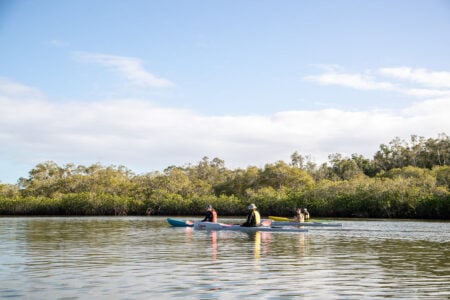 Kayak Noosa Women on Water kayaking Noosa River