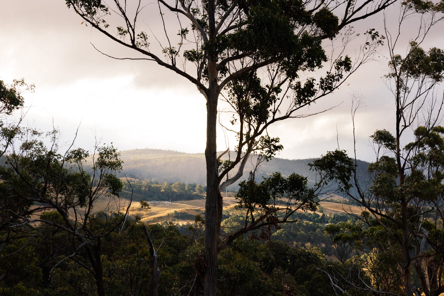 hunter luxury cabin huon valley view lean timms